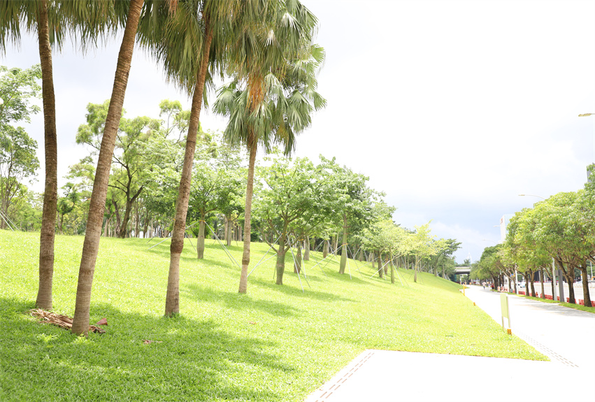 蓮花山公園“春天之路”