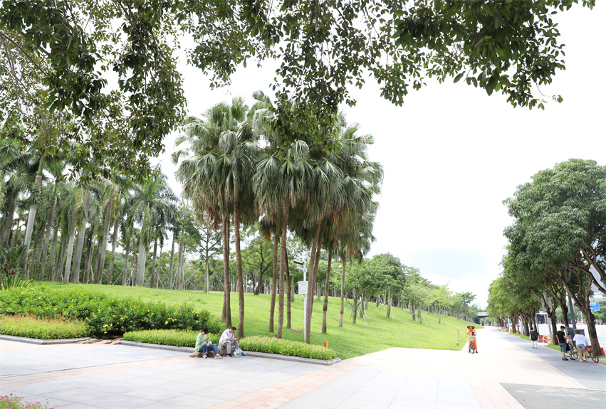 蓮花山公園“春天之路”