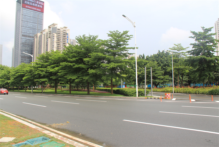 深圳市深南大道中央綠化帶提升工程