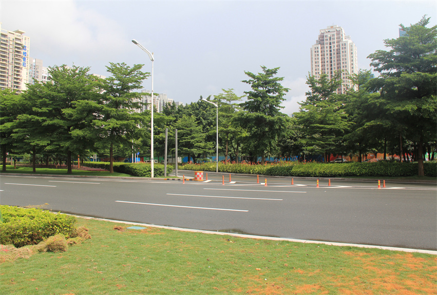 深圳市深南大道中央綠化帶提升工程