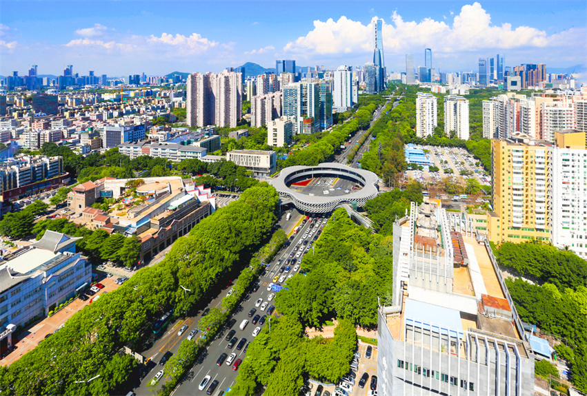 深圳市深南大道中央綠化帶提升工程