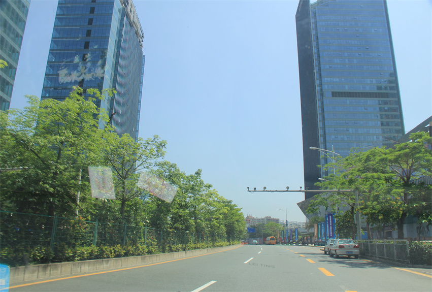 深圳北站周邊綠化景觀提升工程