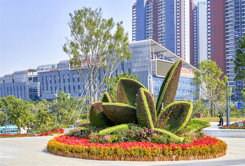 深圳北站周邊綠化景觀提升工程