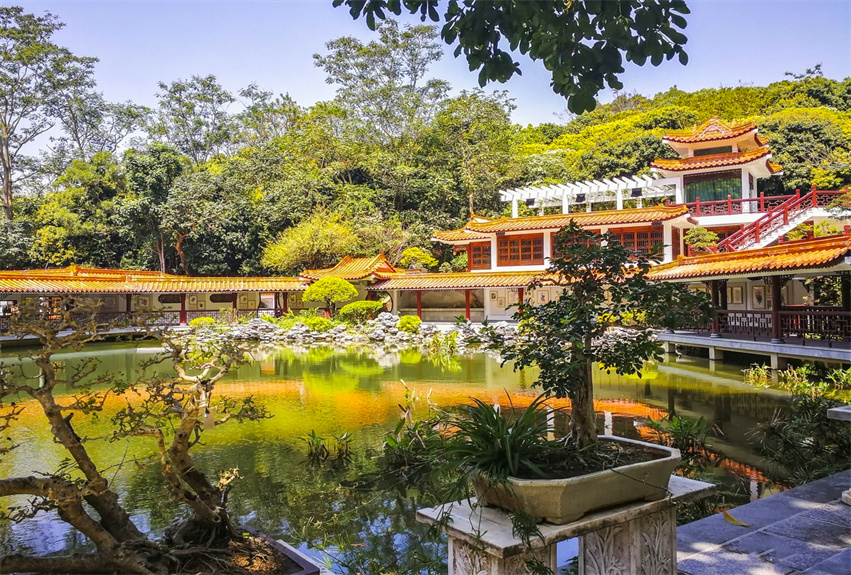 深圳仙湖植物園野營區綠化工程