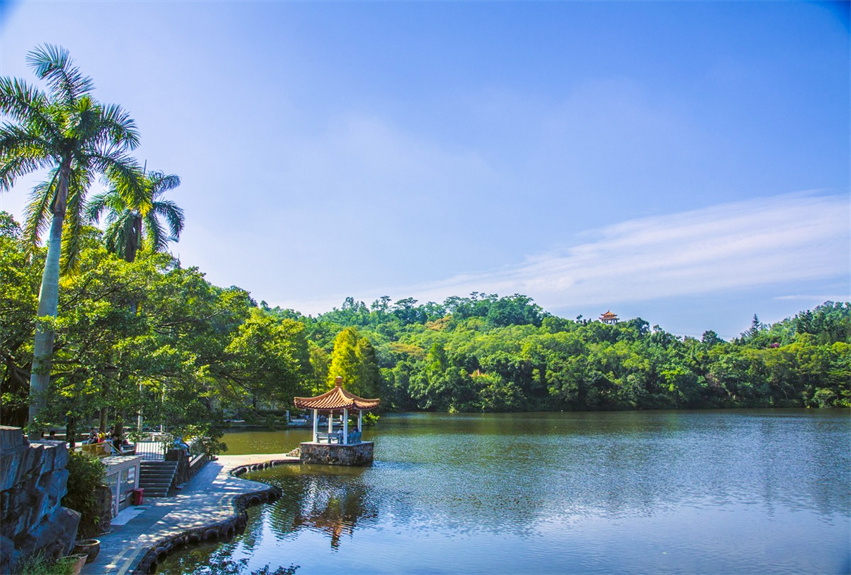 深圳仙湖植物園野營區綠化工程