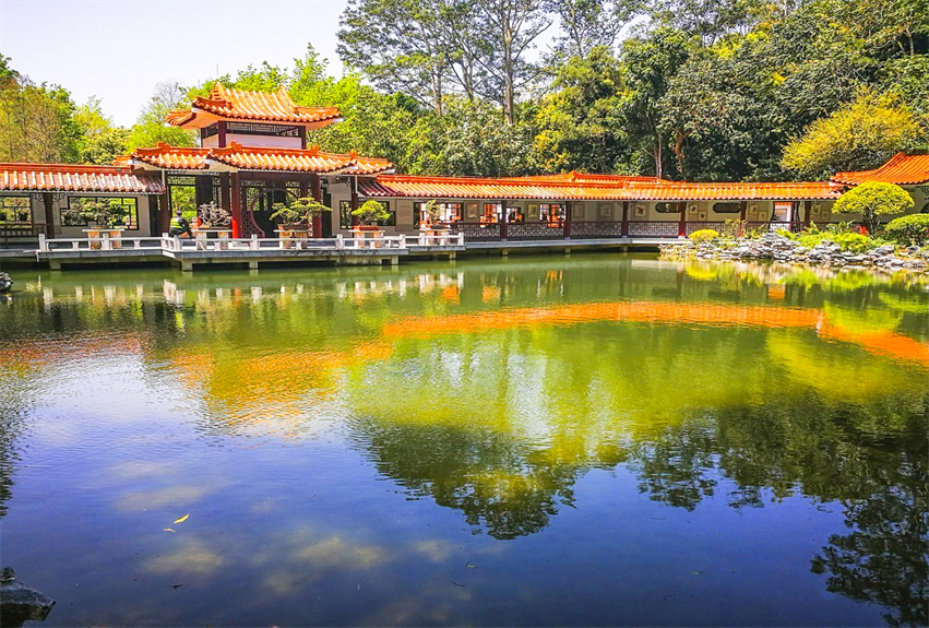 深圳仙湖植物園野營區綠化工程