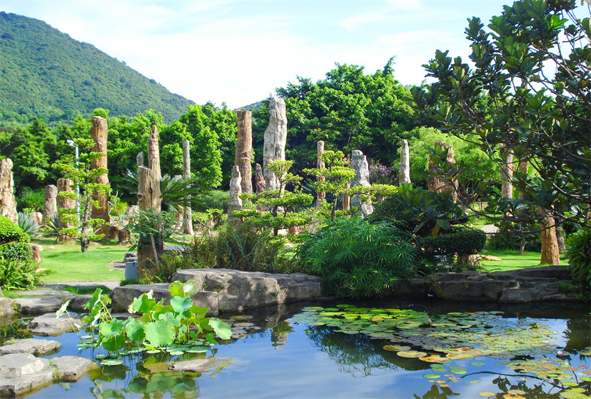 深圳仙湖植物園野營區綠化工程