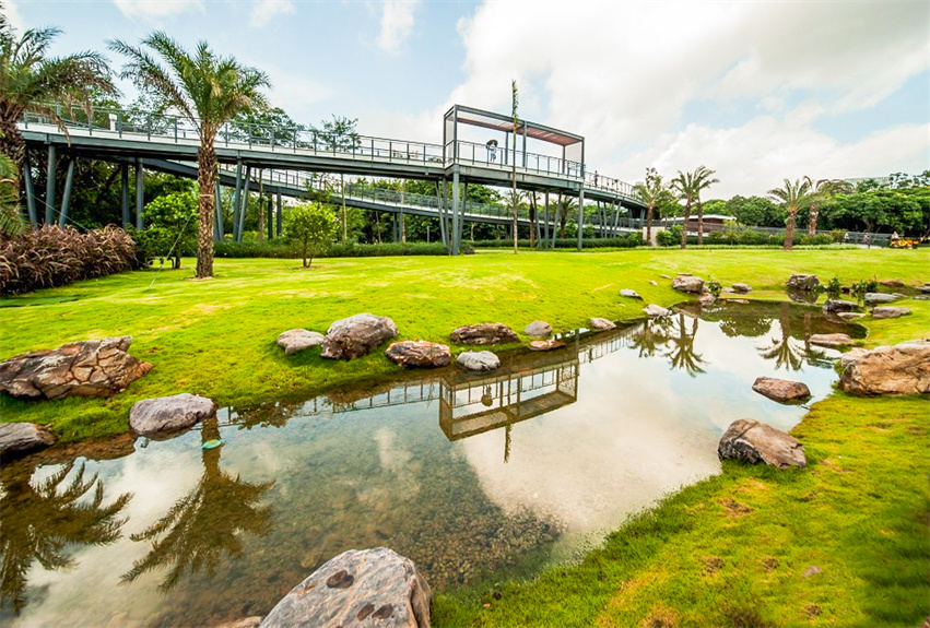 深圳市福田區(qū)香蜜湖街道綠地營(yíng)養(yǎng)承包項(xiàng)目