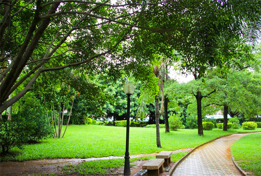 深圳市福田區(qū)香蜜湖街道綠地營(yíng)養(yǎng)承包項(xiàng)目