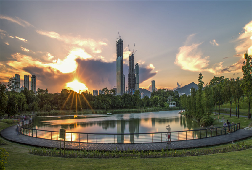 福田中心公園景觀建設項目