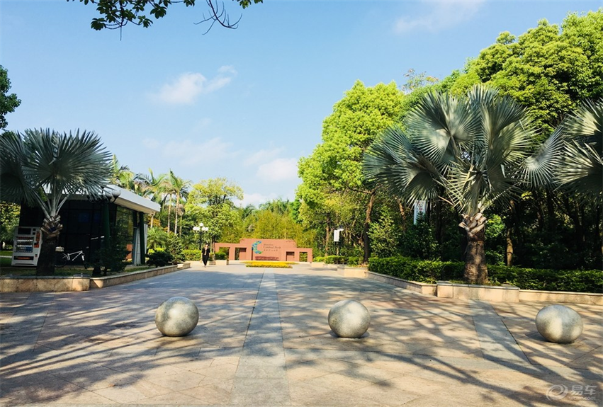 福田中心公園景觀建設項目