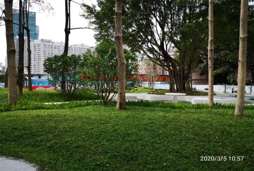 福田區花漾街區及街心花園建設工程